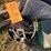 #5080-•-(3)-barrel-pumps-and-more-image-6