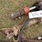 (2)-hydraulic-rams-image-3