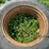 #5021-•-tractor-tire-image-8