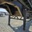2006-serco-7500-image-60