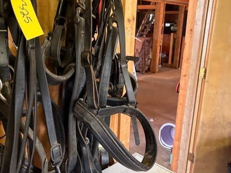 heavy-harness-for-1000lb-pair-image-3