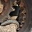 2016-bobcat-t595-image-9