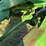 john-deere-4455-image-29