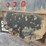 ford-lts9000-image-28