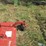 farm-king-y650r-image-6