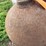 #5051-•-(2)-lp-tanks-image-11