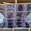 #612-•-approx.-589.68-sq-ft-|-brookhaven-heights-hickory-color-flooring-image-3