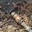 bush-hog-2615l-image-20