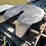 #1666-•-2019-freightliner-cascadia-semi-tractor-(title-in-delay)-image-43