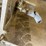 #1962-•-(5)-power-screed-sections-image-5