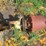 #5034-•-sidewinder-12'-corn-stalk-chopper-image-5