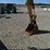 2013-caterpillar-305.5d-cr-image-21