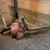 homelite-360-chainsaw-image-3