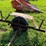 #5026-•-trailer-frame-image-15