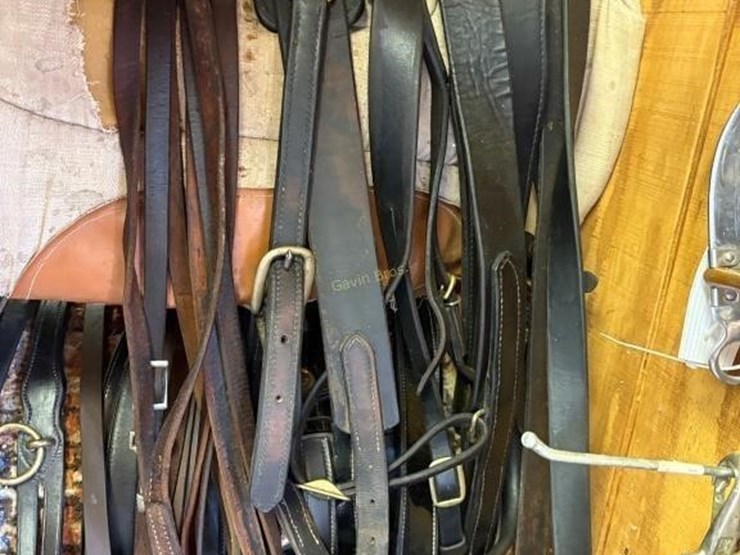 amish-style-horse-buggy-harness-image-2