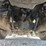 2000-sterling-l9500-image-39