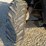 2013-bobcat-3400-image-49