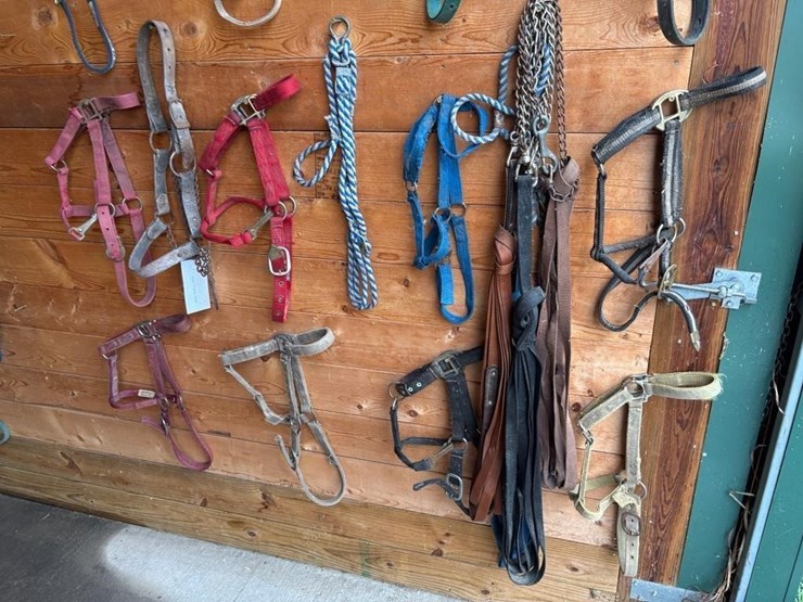 halters-&-lunging-lines-image-3