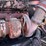 2002-peterbilt-357-image-49