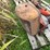 allis-chalmers-tractor-parts-image-5