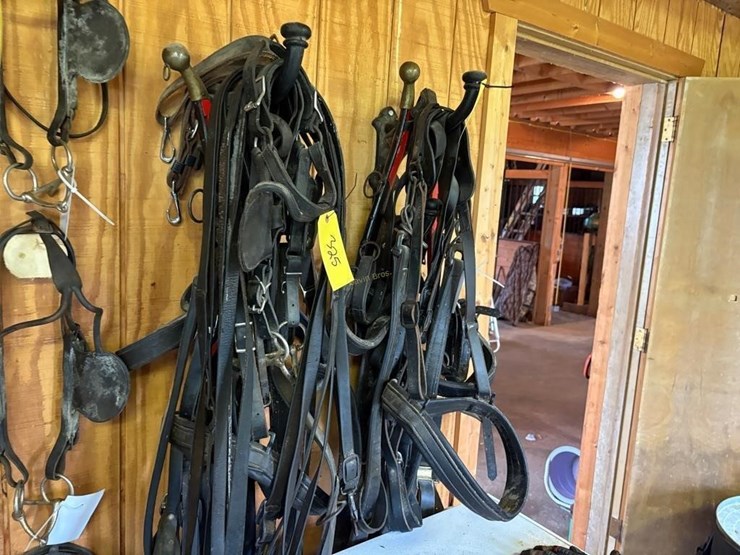 heavy-harness-for-1000lb-pair-image-1