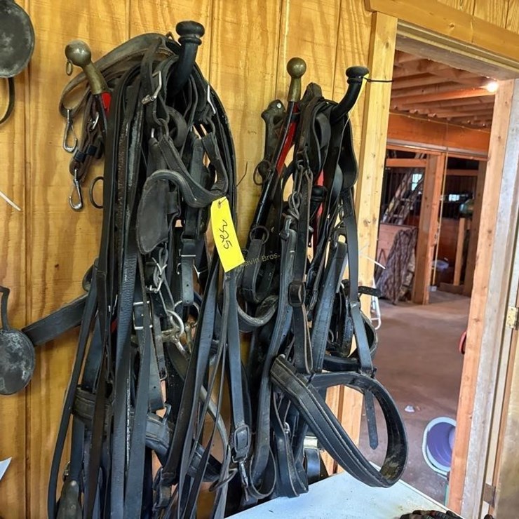 Heavy Harness for 1000lb Pair