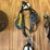 (3)-amish-style-driving-bridles-image-5