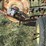 hesston-3800-image-5