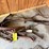 rear-cinches-for-western-saddles-image-4