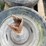 #1932-•-(2)-tires-image-3