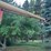 westfield-10x61-image-11