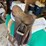 english-argentine-saddle-image-4