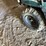 polaris-ranger-500-image-13