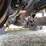 #1666-•-2019-freightliner-cascadia-semi-tractor-(title-in-delay)-image-50
