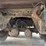 1998-great-dane-53-image-15
