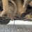 2016-ram-promaster-3500-image-47