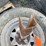 #1931-•-(2)-tires-image-3