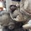 #1918-•-used-motor-image-12