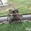 john-deere-3-pt-blade-image-6