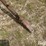 parker-j2100-image-9