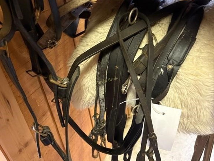 partial-pony-sized-amish-driving-harness-image-3