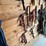 halters-&-lunging-lines-image-2