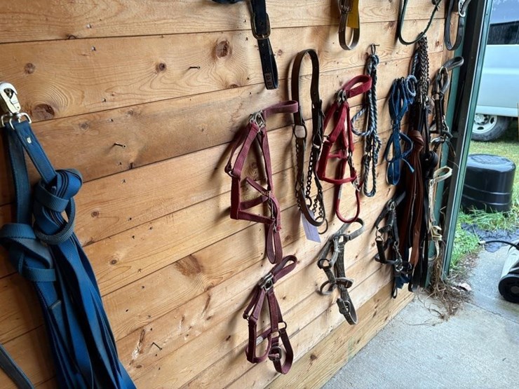 halters-&-lunging-lines-image-2