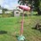 #5050-•-lawn-art-image-1
