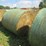 #5033-•-(18)-second-crop-round-bales-image-7
