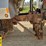 2012-western-star-4900-image-45