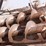 #2044-•-harsh-303h-feed-mixer-wagon-image-11