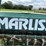 #5022-•-marliss-13'-grain-drill-image-9