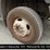 2016-ford-f550-image-25