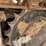 caterpillar-336-image-10